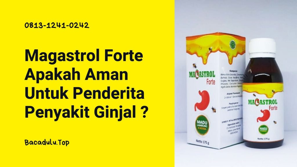 Magastrol Forte Apakah Aman Untuk Penderita Penyakit Ginjal ?