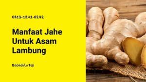 Khasiat Komposisi Magastrol Forte Untuk Pengobatan Asam Lambung ( Maag )