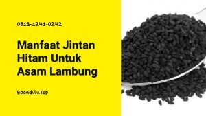Khasiat Komposisi Magastrol Forte Untuk Pengobatan Asam Lambung ( Maag )