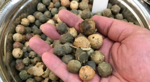 Komposisi Vgrit Serum Perapat Miss V