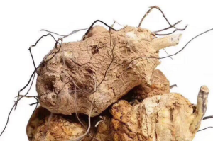 Komposisi Vgrit Serum Perapat Miss V