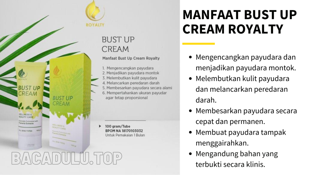 Manfaat Royalty Cosmetic Bust Up Cream Krim Pembesar Pengencang Payudara Terbaik Herbal