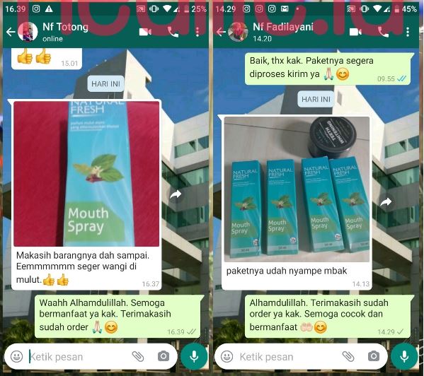 Review ( Testimoni ) Natural Fresh Untuk Bau Mulut